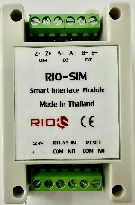 RIO-SIM interface module